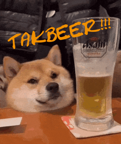 A Dog Laying Next To A Glass Of Beer That Says Takbeer On It GIF