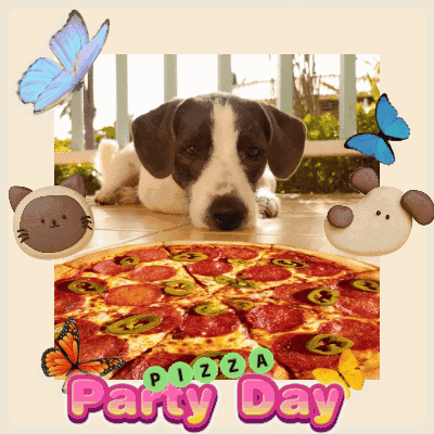 A Dog Laying Next To A Pizza That Says Party Day On It GIF
