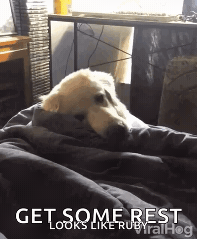 A Dog Laying On A Bed With The Caption Get Some Rest GIF