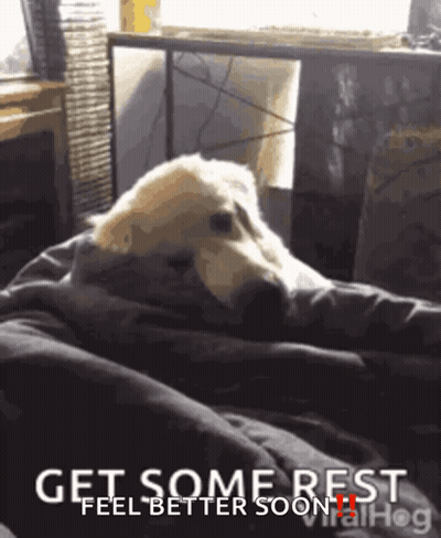 A Dog Laying On A Bed With The Words Get Some Rest Feel Better Soon On The Bottom GIF