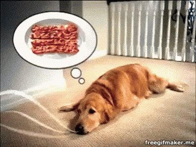A Dog Laying On A Carpet With A Thought Bubble Of Bacon Above It GIF