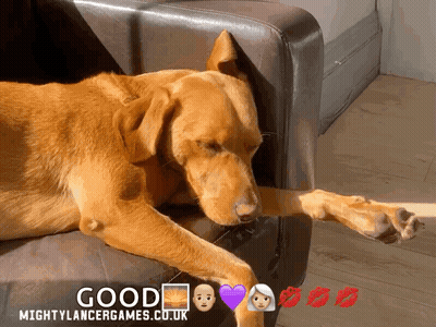 A Dog Laying On A Couch With The Words Good Mightylancergames.co.uk On The Bottom GIF