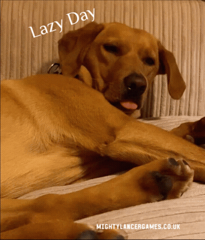 A Dog Laying On A Couch With The Words " Lazy Day " On Top GIF