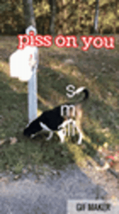 A Dog Laying On The Ground Next To A Mailbox With The Words Piss On You Written On It GIF