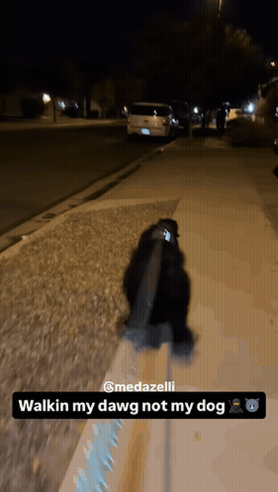 A Dog On A Leash Is Walking Down A Sidewalk At Night GIF