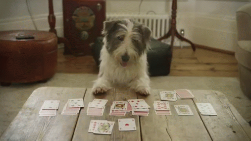 A Dog Playing A Game Of Cards With A Stack Of Cards On The Table GIF
