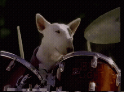 A Dog Playing Drums With A Bud Light Sign Behind Him GIF