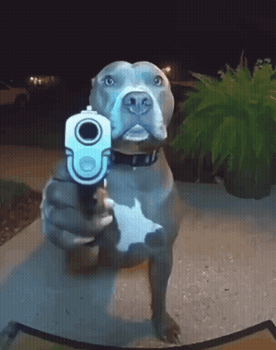 A Dog Pointing A Gun At The Camera With A Plant In The Background GIF