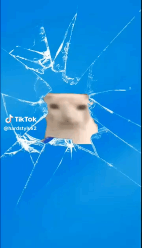 A Dog 'S Face Is Visible Through A Broken Screen GIF