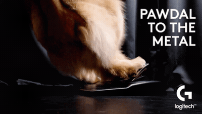A Dog 'S Paw Is On A Keyboard With The Words Pawdai To The Metal Written Above It GIF