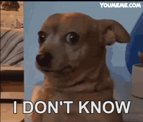 A Dog Says I Don 'T Know In Front Of A Blue Background GIF