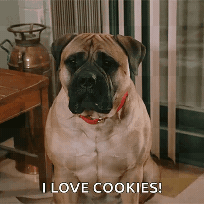 A Dog Says I Love Cookies While Sitting Down GIF