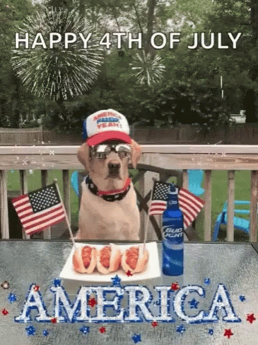 A Dog Sitting At A Table With A Plate Of Food And A Bottle Of Bud Light GIF