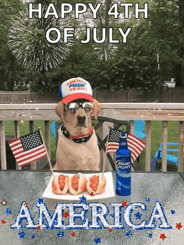 A Dog Sitting At A Table With A Plate Of Hot Dogs And A Bottle Of Bud Light GIF