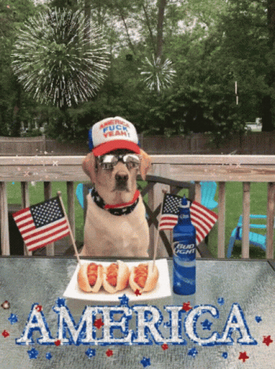 A Dog Sitting At A Table With A Plate Of Hot Dogs And A Bottle Of Bud Light GIF