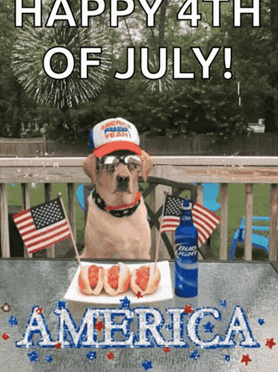 A Dog Sitting At A Table With A Plate Of Hot Dogs And A Bottle Of Bud Light GIF