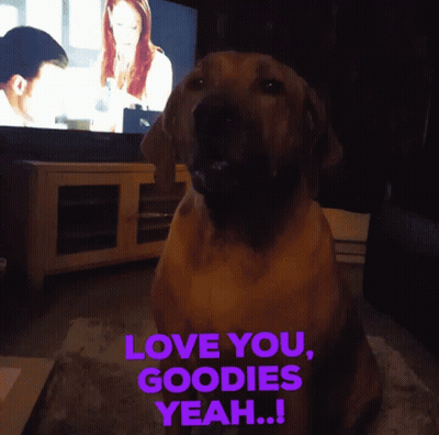 A Dog Sitting In Front Of A Tv With The Words Love You Goodies Yeah Written On It GIF