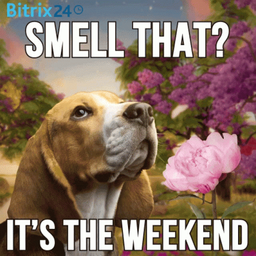 A Dog Smelling A Pink Flower With The Words " Smell That It 'S The Weekend " GIF