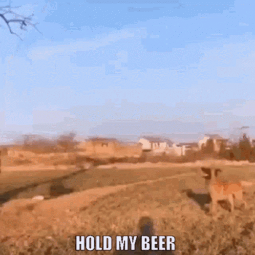 A Dog Standing In A Field With The Words Hold My Beer Written On It GIF