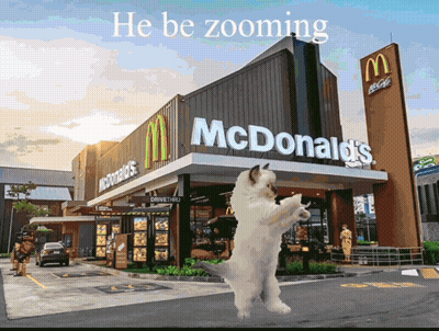 A Dog Standing In Front Of A Mcdonald 'S Restaurant GIF
