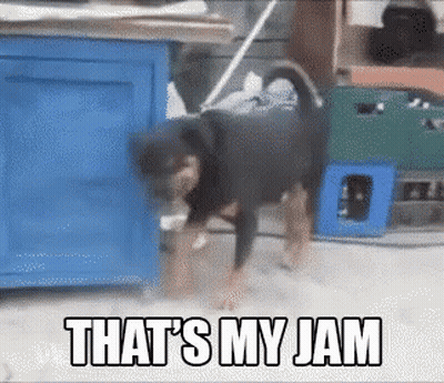 A Dog Standing Next To A Blue Cabinet That Says That 'S My Jam On It GIF