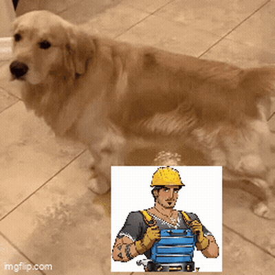 A Dog Standing Next To A Picture Of A Man Wearing A Hard Hat And Gloves GIF