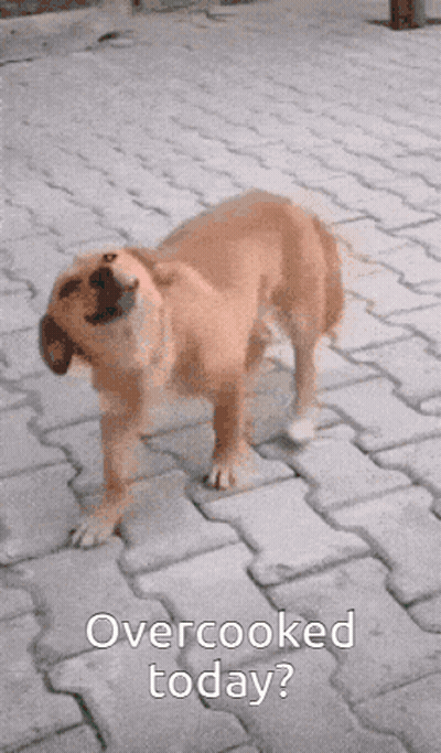 A Dog Standing On A Brick Sidewalk With The Words Overcooked Today On The Bottom GIF