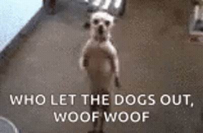 A Dog Standing On Its Hind Legs With The Words `` Who Let The Dogs Out Woof Woof '' Behind It . GIF