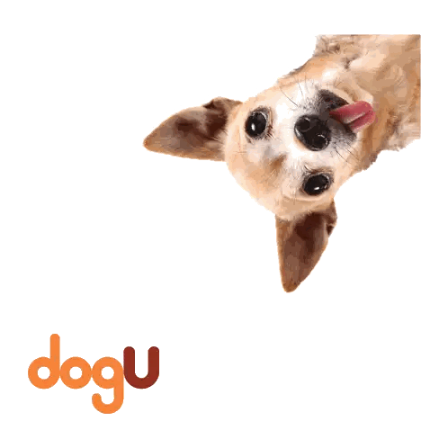 A Dog Sticking Its Tongue Out With The Word Dogu Behind It Sticker
