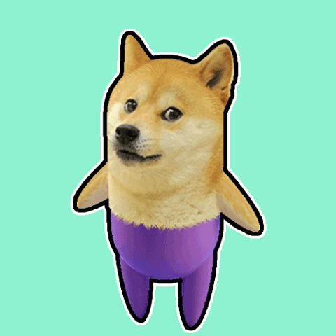 A Dog That Looks Like A Penguin With A Purple Shirt GIF