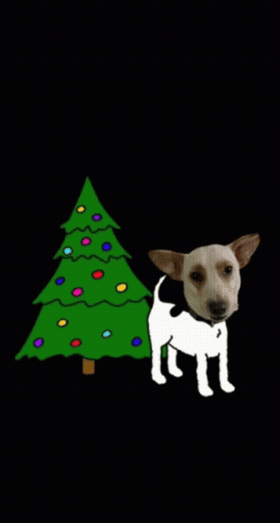 A Dog Urinates In Front Of A Christmas Tree With Lights GIF