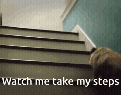 A Dog Walking Up A Set Of Stairs With The Words Watch Me Take My Steps GIF