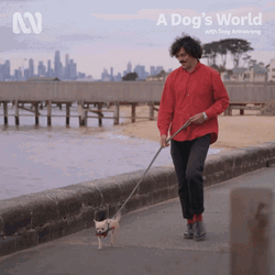 A Dog Walking World GIF