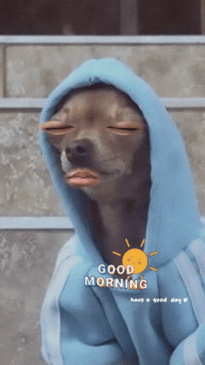 A Dog Wearing A Blue Hoodie With The Words Good Morning Written On It GIF