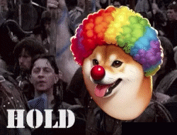 A Dog Wearing A Clown Wig And Nose Is Surrounded By People And The Word Hold Is On The Bottom GIF