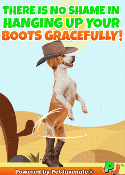 A Dog Wearing A Cowboy Hat And Boots Says There Is No Shame In Hanging Up Your Boots Graciously GIF
