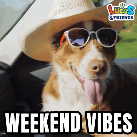 A Dog Wearing A Cowboy Hat And Sunglasses With The Words Weekend Vibes Below GIF