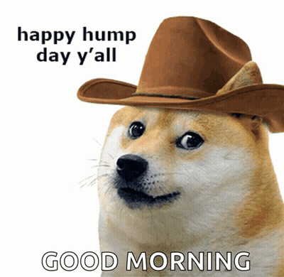 A Dog Wearing A Cowboy Hat Says Happy Hump Day Y'all GIF