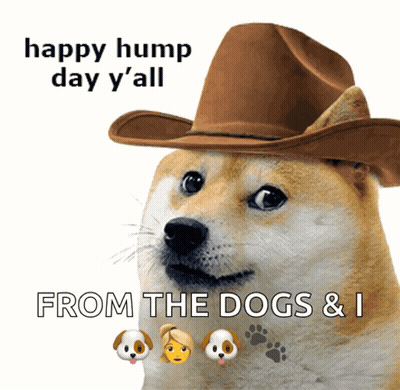A Dog Wearing A Cowboy Hat Says Happy Hump Day Y'all GIF