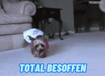 A Dog Wearing A Diaper And A Hat With The Words Total Besoffen Above It GIF
