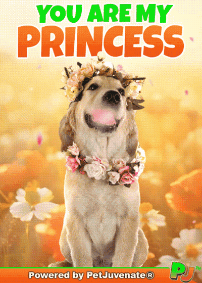 A Dog Wearing A Flower Crown With The Words You Are My Princess Above It GIF