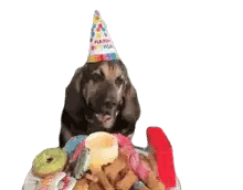 A Dog Wearing A Happy Birthday Hat Is Sitting On A Birthday Cake Sticker