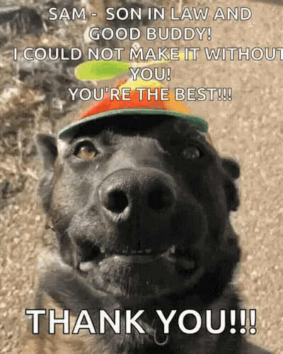 A Dog Wearing A Hat With The Words Sam Son In Law And Good Buddy I Could Not Make It With You You 'Re The Best GIF