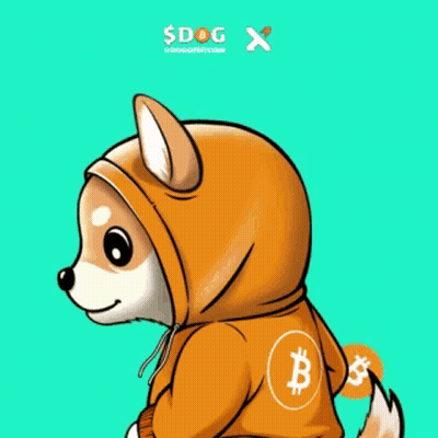 A Dog Wearing A Hoodie With A Bitcoin Symbol On It GIF