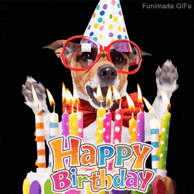 A Dog Wearing A Party Hat And Sunglasses Is Blowing Out Candles On A Birthday Cake That Says Happy Birthday GIF