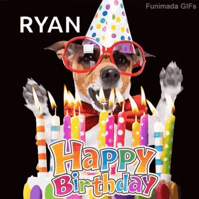 A Dog Wearing A Party Hat And Sunglasses Is Blowing Out Candles On A Cake . GIF