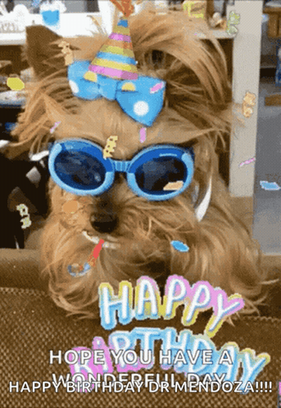 A Dog Wearing A Party Hat And Sunglasses Says " Happy Birthday Mendoza " GIF