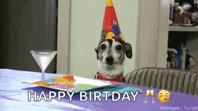 A Dog Wearing A Party Hat Is Sitting At A Table With A Martini And A Plate Of Food . GIF