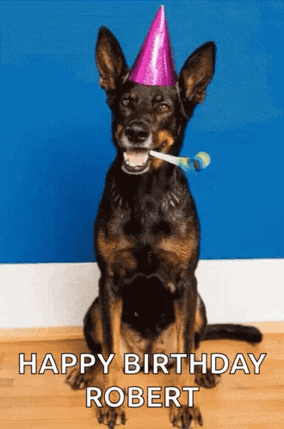 A Dog Wearing A Party Hat With A Party Horn In Its Mouth Says Happy Birthday Robert . GIF