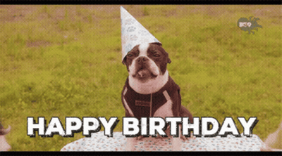 a dog wearing a party hat with the words happy birthday written on it